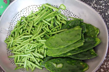 仙人掌食用及药用价值详解 - 花百科