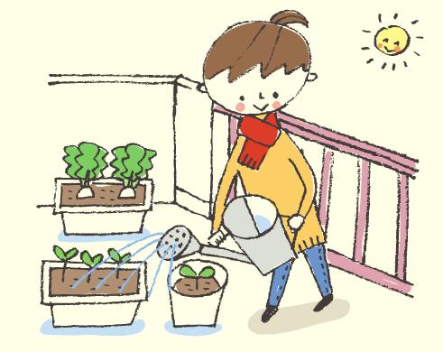 阳台种菜怎么浇水