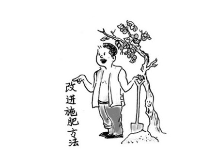 石榴花的施肥方法