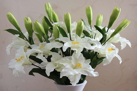 百合花一年能开几次花
