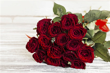 玫瑰的品种,红玫瑰有几个品种