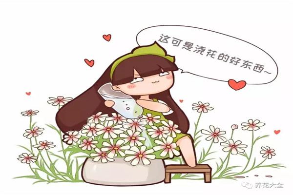 别人扔的小东西,拿来喂花,长疯了!