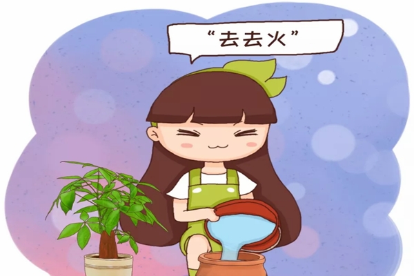 刚买的花盆,得先“去去火”,否则不管啥花,
