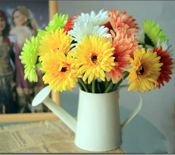 非洲菊的插花欣赏