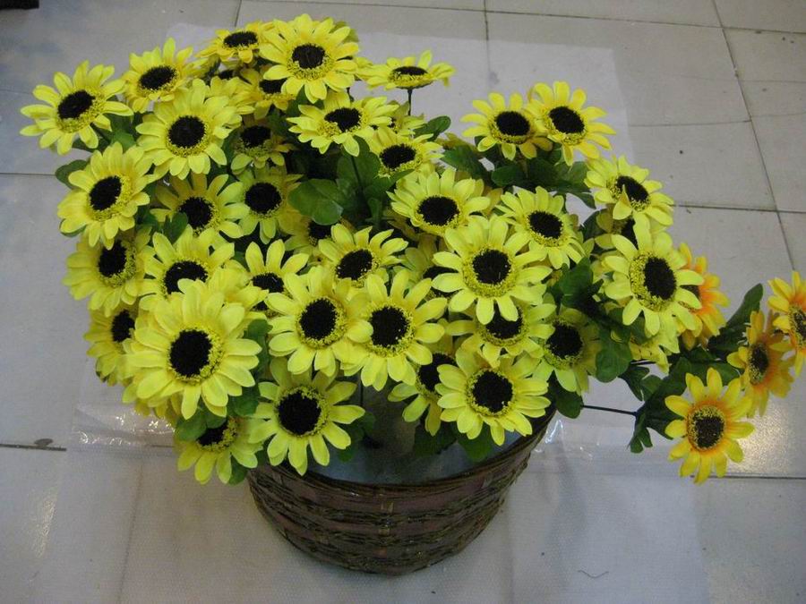 盆花春育应注意什么?