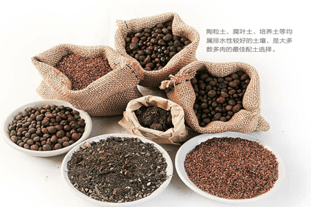 多肉植物适合的土壤 - 花百科