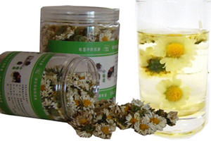 雏菊具有药用功效