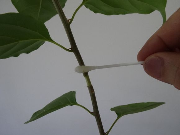 消毒 消毒