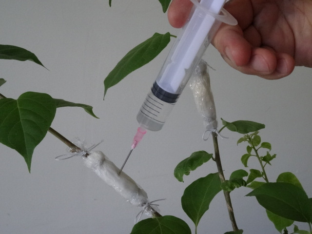 注射水分 注射水分