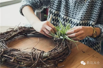 反过来看 反过来看