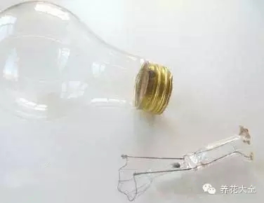 将灯泡擦干净 将灯泡擦干净