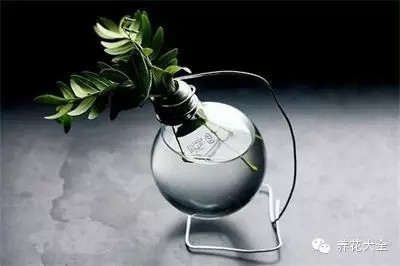 灯牌养花 灯牌养花