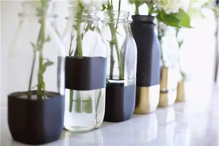 清新明亮的酒瓶花盆 清新明亮的酒瓶花盆