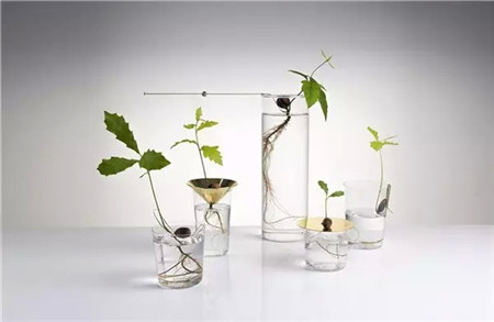 酒瓶花盆的鲜亮效应 酒瓶花盆的鲜亮效应