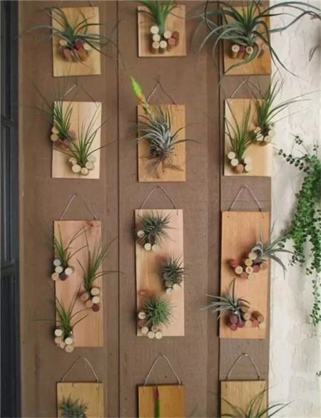 小巧精致的木塞花盆 小巧精致的木塞花盆