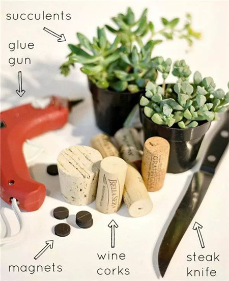 软木塞花盆制作教程 软木塞花盆制作教程