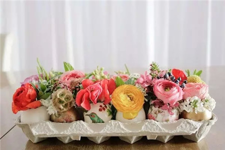 还带个底座的蛋壳花盆 还带个底座的蛋壳花盆