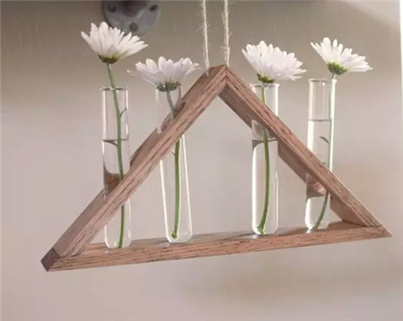 试管花儿 试管花儿