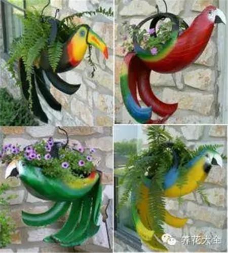 鹦鹉小花盆 鹦鹉小花盆