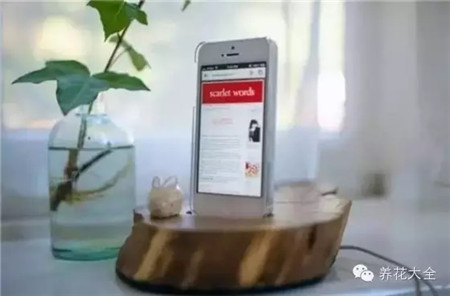 原木大方 原木大方