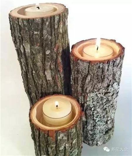 钢筋水泥不会 钢筋水泥不会