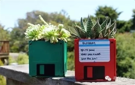 磁碟盆栽 磁碟盆栽