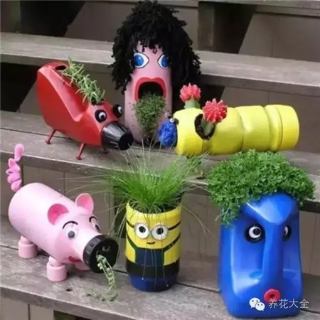 塑料桶盆栽 塑料桶盆栽