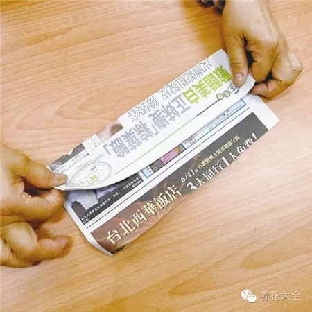 报纸对折 报纸对折