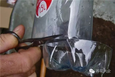 底部剪掉 底部剪掉