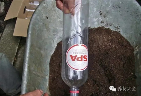 多个塑料瓶 多个塑料瓶