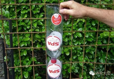 剪掉这个塑料瓶的底部 剪掉这个塑料瓶的底部