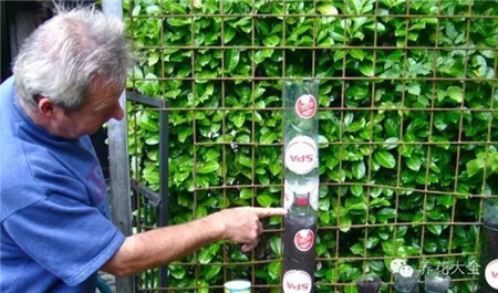 水分穿过土壤 水分穿过土壤