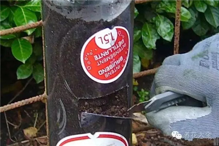 塑料瓶都割出一个正方形窗口 塑料瓶都割出一个正方形窗口