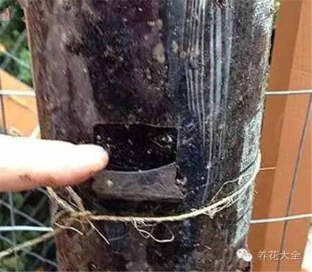 正方形的塑料片 正方形的塑料片