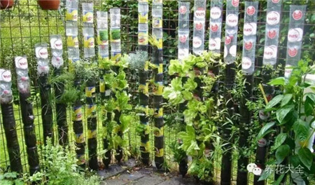 以此类推 以此类推