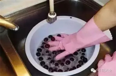 用盐 用盐