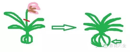 剪残花 剪残花