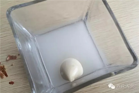 关于用量 关于用量