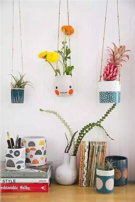 一盆“小可爱” 一盆“小可爱”