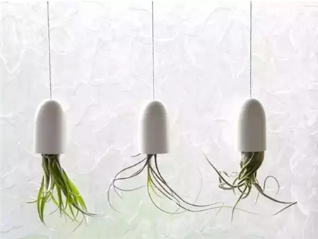 白色和绿色 白色和绿色