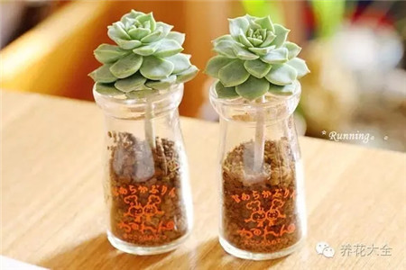 萌萌哒的双胞胎! 萌萌哒的双胞胎!