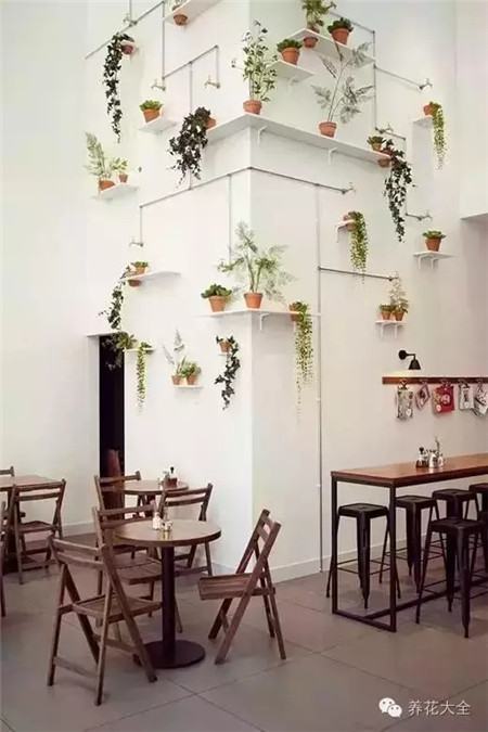 花草的身影 花草的身影