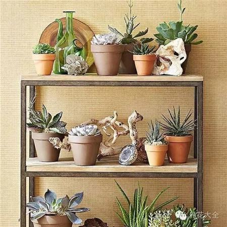 梯子改造的 梯子改造的