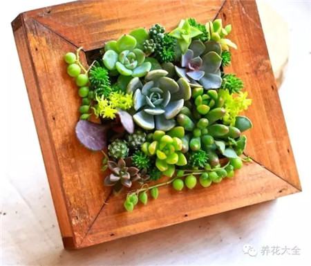 记得喷水 记得喷水