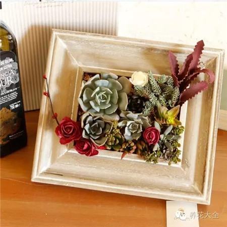 色彩搭配 色彩搭配