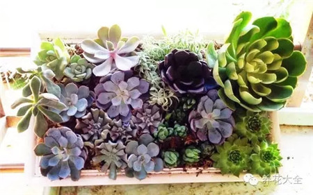 拿出来晒晒 拿出来晒晒