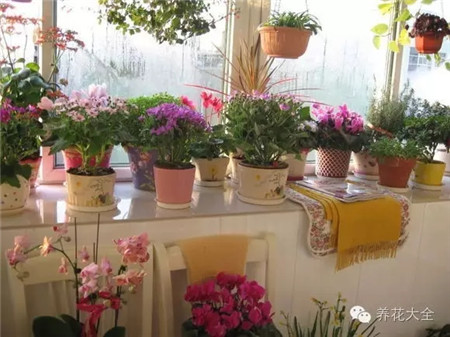 阳台面积 阳台面积