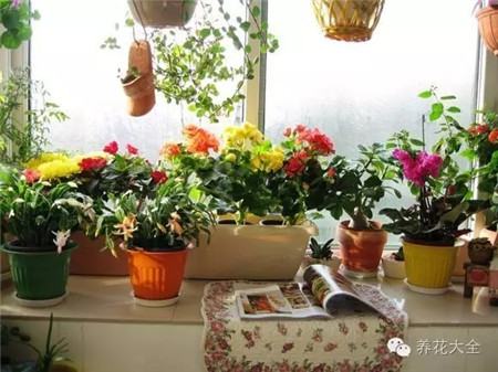 阳台面积拓宽 阳台面积拓宽