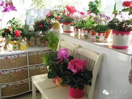 增大阳台面积 增大阳台面积