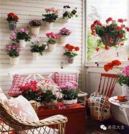 花盆设计 花盆设计